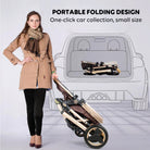 3 in 1 Stroller 